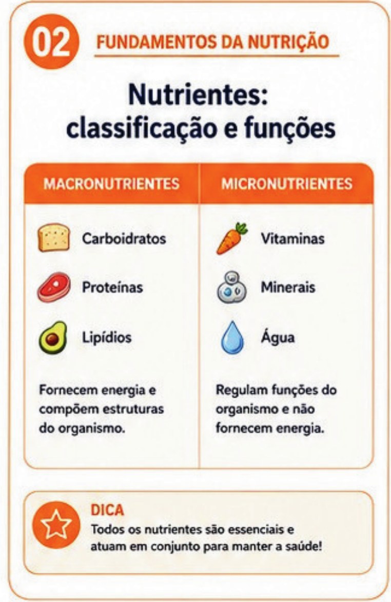 Card: nutrientes, classificação e funções