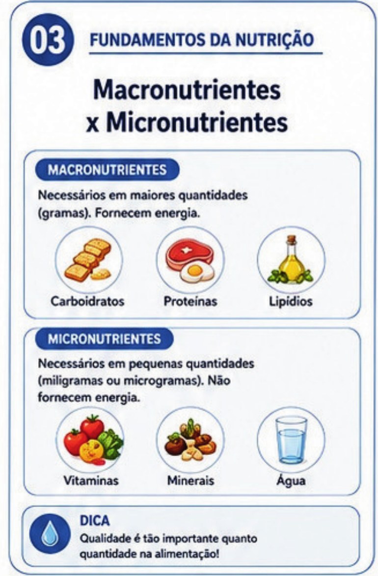 Card: macronutrientes x micronutrientes