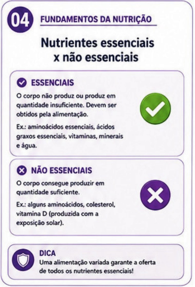 Card: nutrientes essenciais x não essenciais