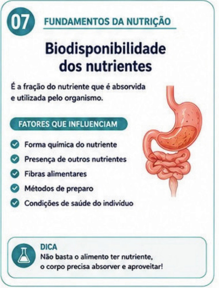 Card: biodisponibilidade dos nutrientes